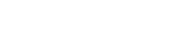 Буклет Dartigalongue